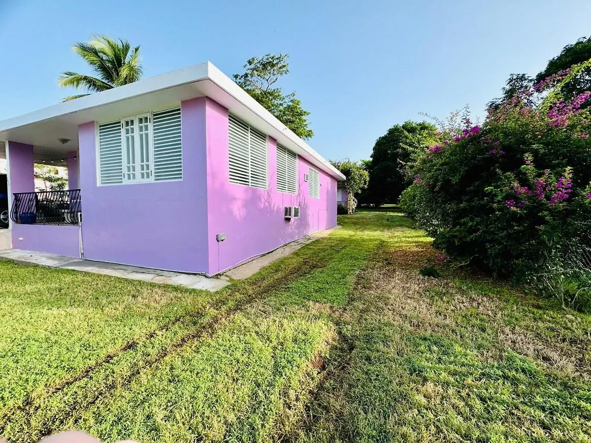 Purple Sunset - Walk To Malecon & Beaches Vieques Holiday home