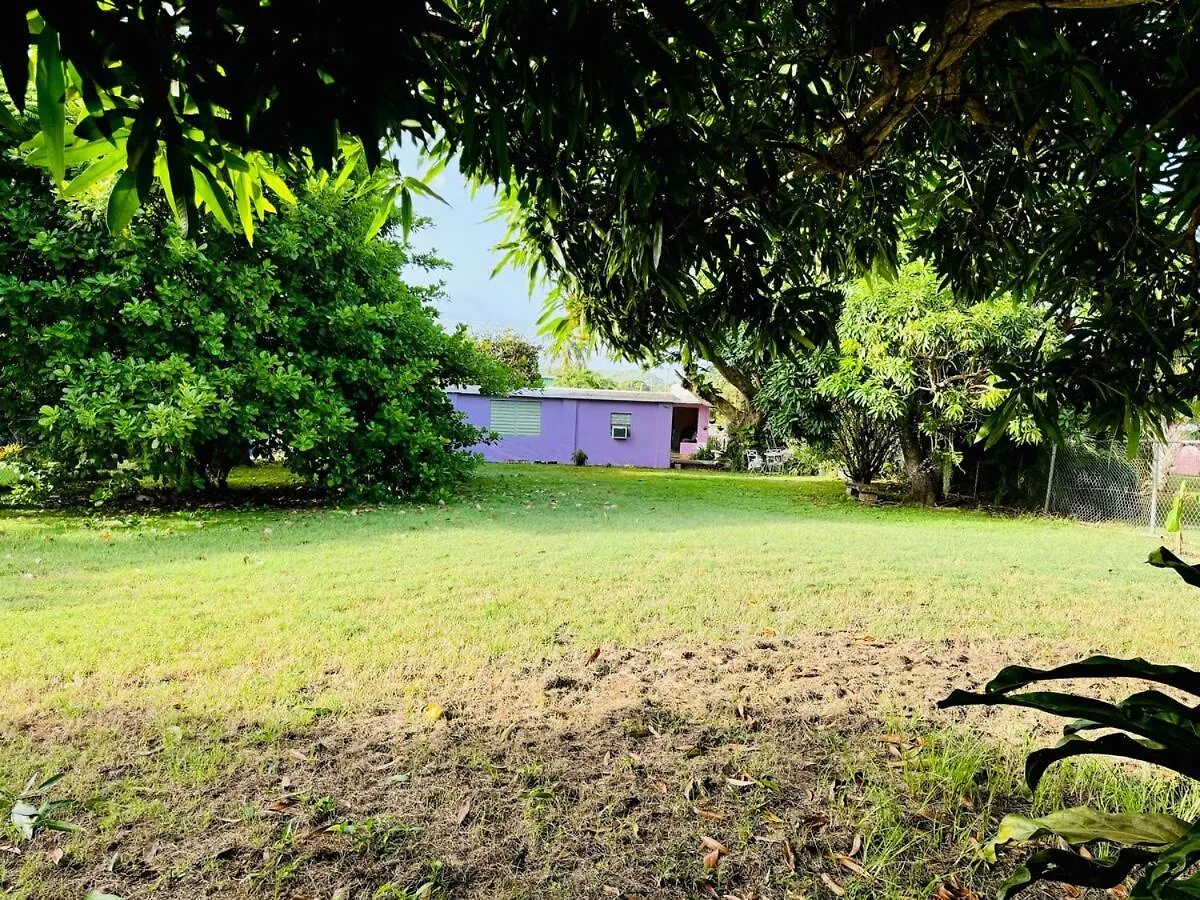 Holiday home Purple Sunset - Walk To Malecon & Beaches Vieques