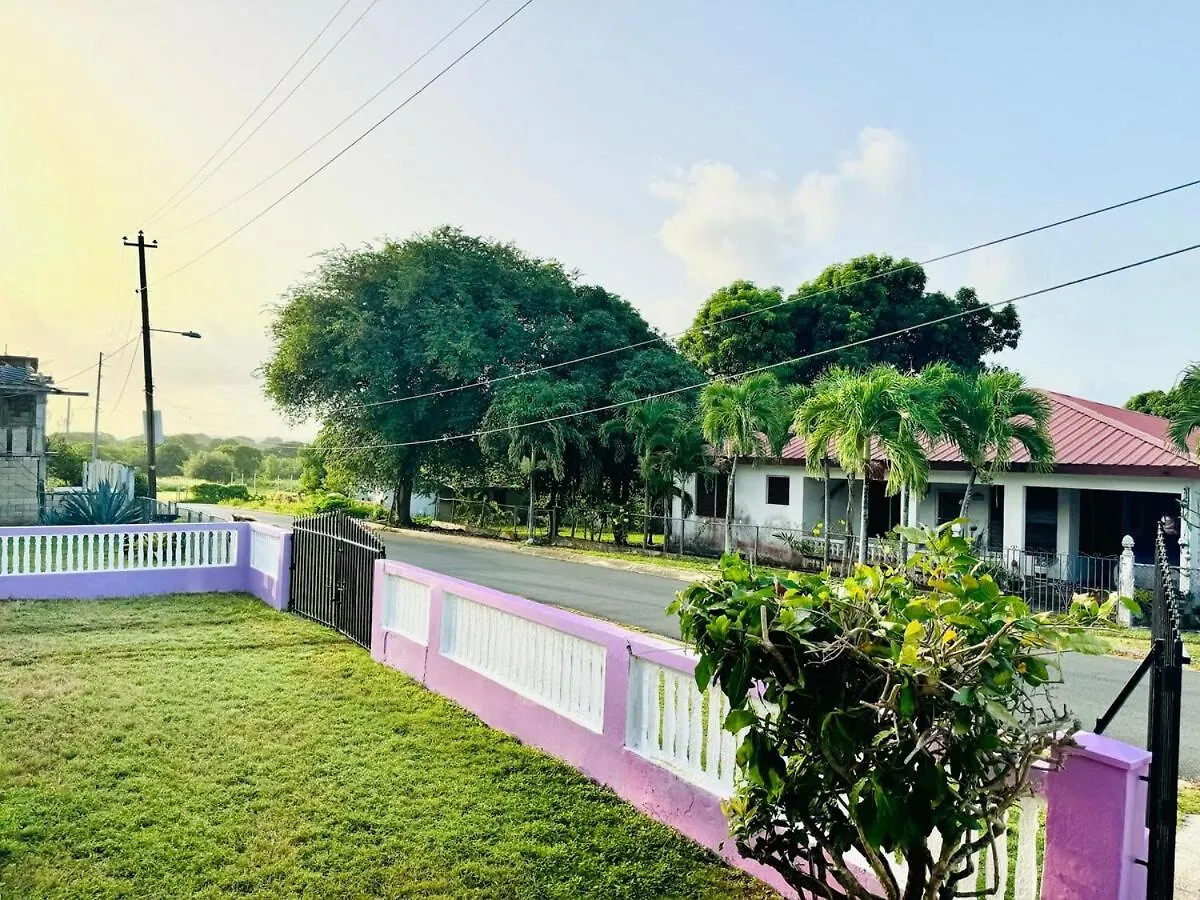 Purple Sunset - Walk To Malecon & Beaches Vieques
