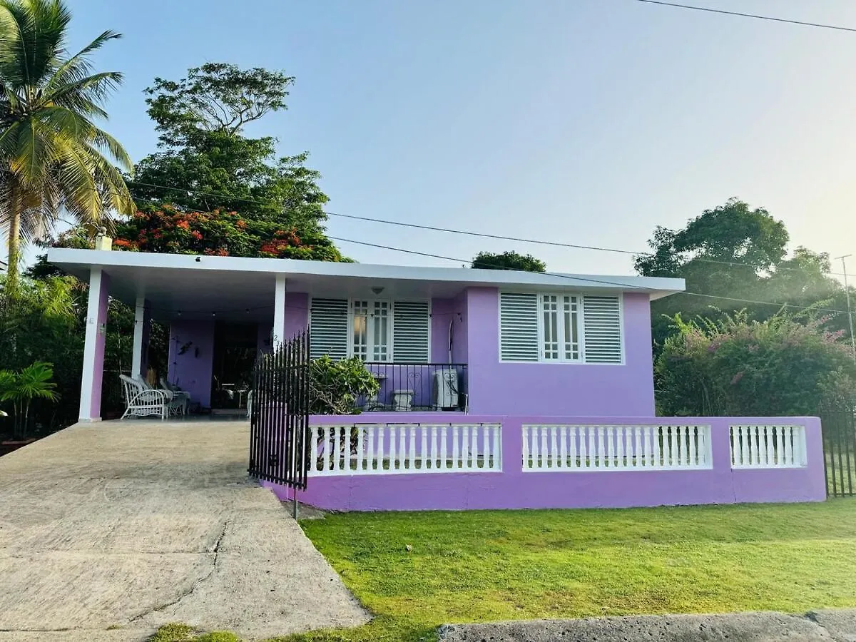 Purple Sunset - Walk To Malecon & Beaches Vieques